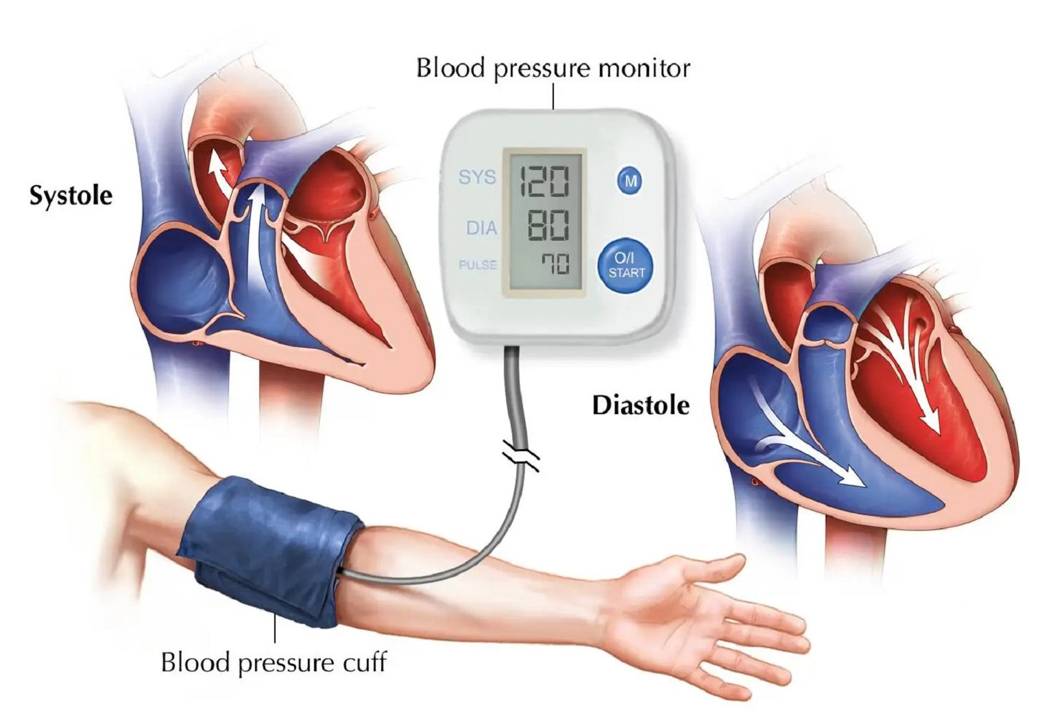 BP Measuring Machine Price